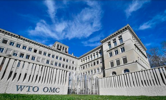 Thỏa thuận tạm thời về Hiệp định Thương mại điện tử: Định hình trật tự mới của kinh tế số toàn cầu