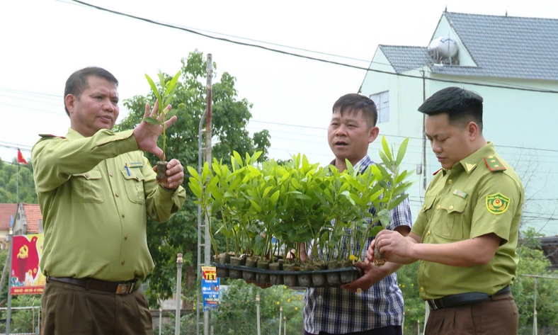  Bắc Ninh: Ứng dụng công nghệ sản xuất giống, nâng giá trị kinh tế rừng