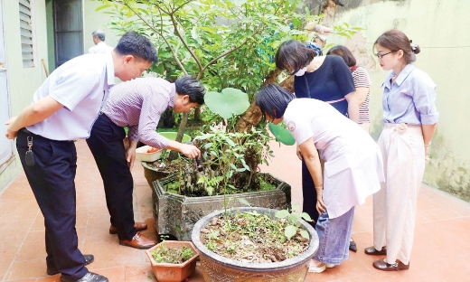 Giám sát phòng, chống sốt xuất huyết tại phường Tam Sơn