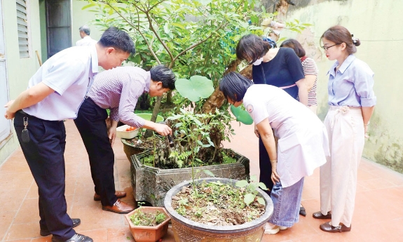 Giám sát phòng, chống sốt xuất huyết tại phường Tam Sơn