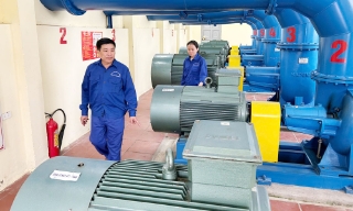 Lặng thầm khơi những dòng xanh