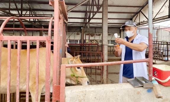 Bắc Ninh siết chặt phòng, chống dịch lở mồm long móng