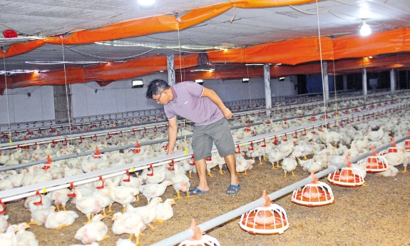Hợp tác ứng dụng quy trình sản xuất sạch