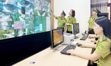  Ứng dụng công nghệ số giữ màu xanh cho rừng