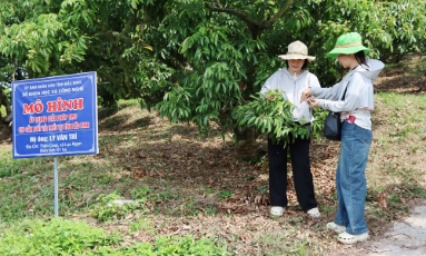  Bắc Ninh kiểm soát chất lượng nông sản từ gốc