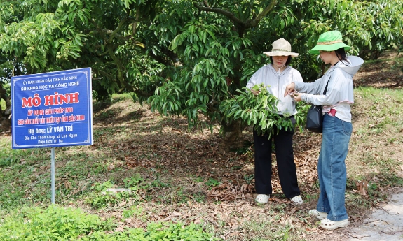 Bắc Ninh kiểm soát chất lượng nông sản từ gốc