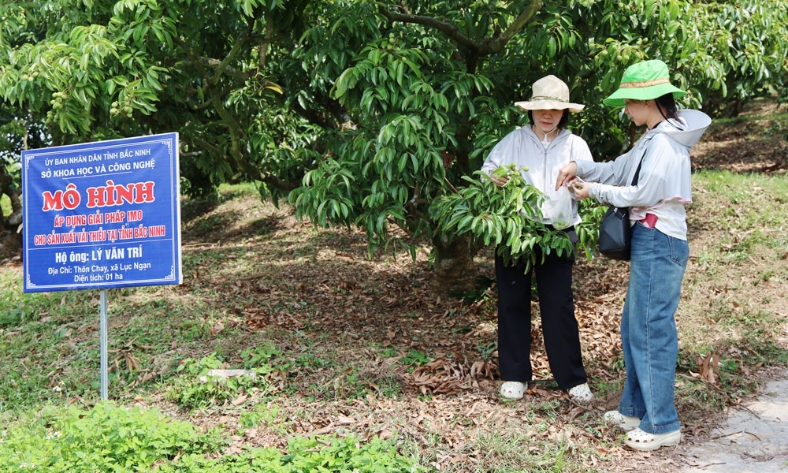 Bắc Ninh kiểm soát chất lượng nông sản từ gốc