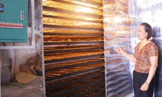 Đầu tư dây chuyền sản xuất mỳ khép kín trị giá hơn 2 tỷ đồng 