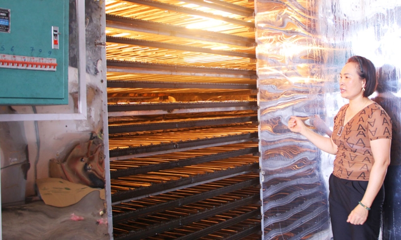  Đầu tư dây chuyền sản xuất mỳ khép kín trị giá hơn 2 tỷ đồng 