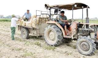 Bắc Ninh mở rộng quy mô hợp tác xã để tăng sức cạnh tranh