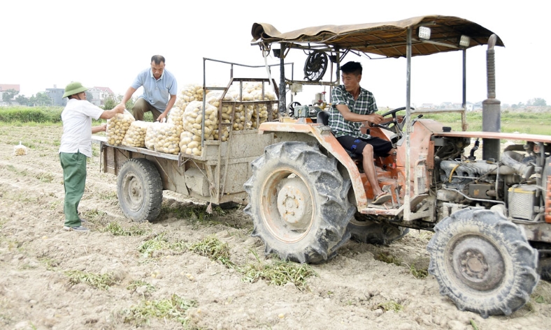  Bắc Ninh mở rộng quy mô hợp tác xã để tăng sức cạnh tranh