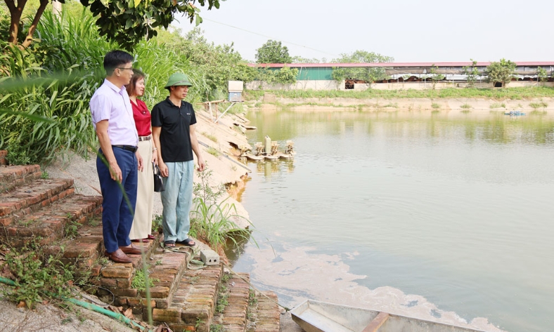  Bắc Ninh triển khai 5 mô hình khảo nghiệm lĩnh vực chăn nuôi, thủy sản