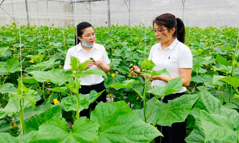  Ứng dụng kỹ thuật cao nuôi thủy sản