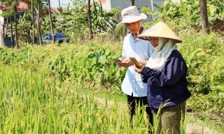 Ứng dụng thiết bị thông minh quản lý dịch hại cây trồng