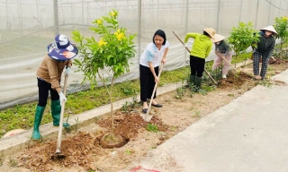 Phụ nữ Bắc Ninh lan tỏa lối sống xanh  