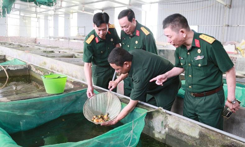  Phát huy phẩm chất người lính Cụ Hồ trên mặt trận kinh tế