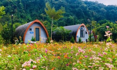  Chạm vào thiên nhiên ở Cội Nguồn