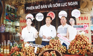 Chuyển đổi số - Thực tiễn bác bỏ luận điệu xuyên tạc - Bài 2: Khi chủ trương lớn đi vào nhịp sống thường ngày