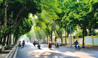 Thời tiết Bắc Ninh đêm 17, ngày 18/6: Gió Đông Nam cấp 2
