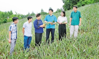 Mô hình chính quyền địa phương 2 cấp ở Bắc Ninh: Gỡ điểm nghẽn từ cơ sở