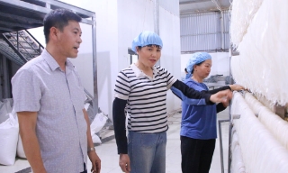 Bắc Ninh: 208 sản phẩm OCOP cần đánh giá, phân hạng lại
