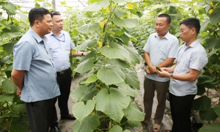 Bắc Ninh: Tạo động lực để nông nghiệp tăng trưởng bền vững