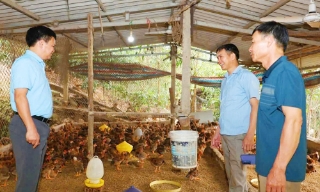 Phát huy dân chủ ở cơ sở, nâng cao hiệu quả công tác dân vận