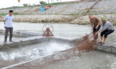  Bắc Ninh: Xây dựng và bảo vệ tài sản  trí tuệ trong nông nghiệp