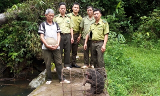 Thả cá thể khỉ mặt đỏ về môi trường tự nhiên