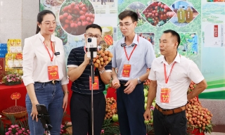 Bắc Ninh triển khai Chiến lược quốc gia về khởi nghiệp sáng tạo với 7 nhóm nhiệm vụ, giải pháp trọng tâm