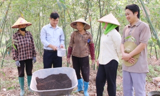 Ứng dụng hệ thống quản lý sức khỏe cây trồng tổng hợp: Đất khỏe, nuôi cây tốt