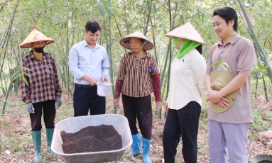  Ứng dụng hệ thống quản lý sức khỏe cây trồng tổng hợp: Đất khỏe, nuôi cây tốt
