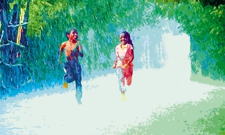 Hương mùa hè