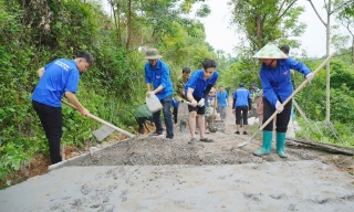 Tri thức trẻ trong "Mùa hè xanh”