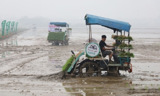 Bắc Ninh: Nghiệm thu 7 mô hình thử nghiệm, khảo nghiệm giống cây trồng, vật nuôi
