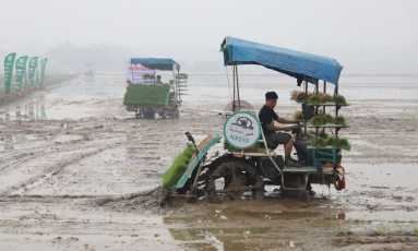 Bắc Ninh: Nghiệm thu 7 mô hình thử nghiệm, khảo nghiệm giống cây trồng, vật nuôi