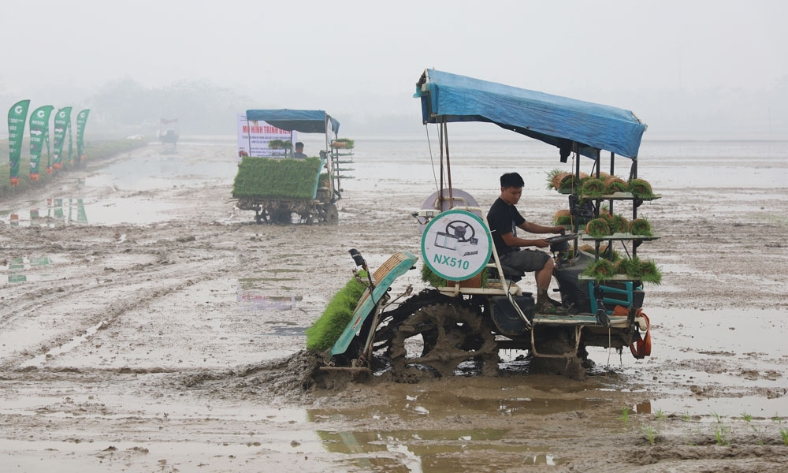  Bắc Ninh: Nghiệm thu 7 mô hình thử nghiệm, khảo nghiệm giống cây trồng, vật nuôi