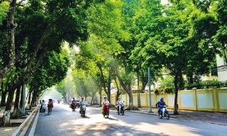 Thời tiết Bắc Ninh đêm 29, ngày 30/7: Có mưa rào và dông, ngày trời nắng gián đoạn