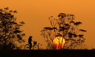 Đường làng một thuở
