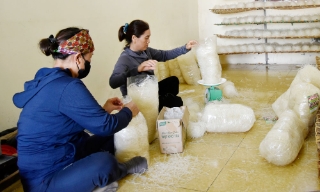 Duy trì sinh kế ở nơi tạm cư