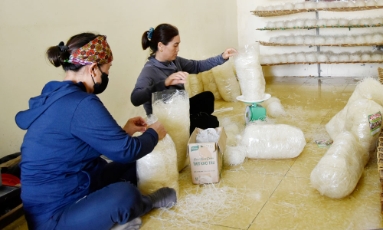  Duy trì sinh kế ở nơi tạm cư