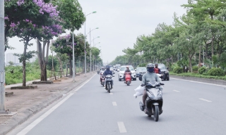 Thời tiết Bắc Ninh đêm mùng 2, ngày 3/8. Gió Đông Nam cấp 2-3