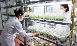 Bắc Ninh: Khơi thông nguồn lực cho đổi mới sáng tạo