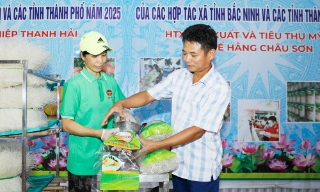 Khởi sắc làng nghề Châu Sơn