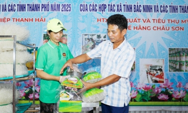  Khởi sắc làng nghề Châu Sơn