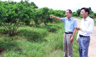 Cán bộ cơ sở tỉnh Bắc Ninh đổi mới tư duy phục vụ Nhân dân