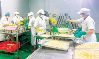 Khuyến khích doanh nghiệp xây dựng, quảng bá thương hiệu Bắc Ninh