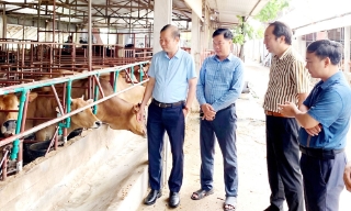 Bắc Ninh: Hơn 6,6 tỷ đồng hỗ trợ hợp tác xã