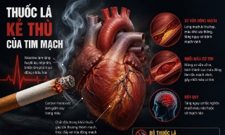 Thuốc lá - “Kẻ thù” của trái tim