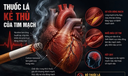 Thuốc lá - “Kẻ thù” của trái tim